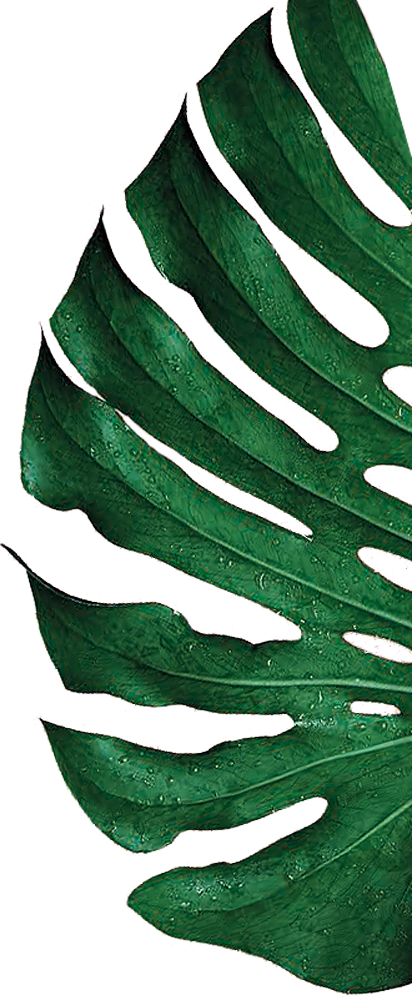 grünes Jungle Leaf