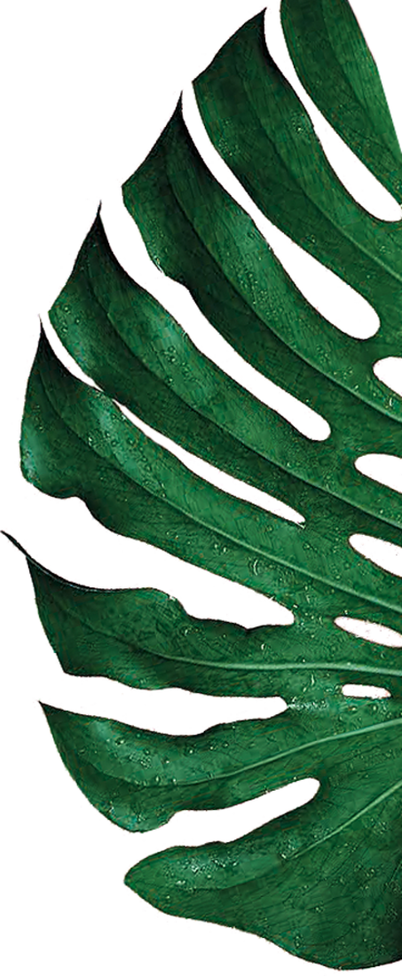 grünes Jungle Leaf